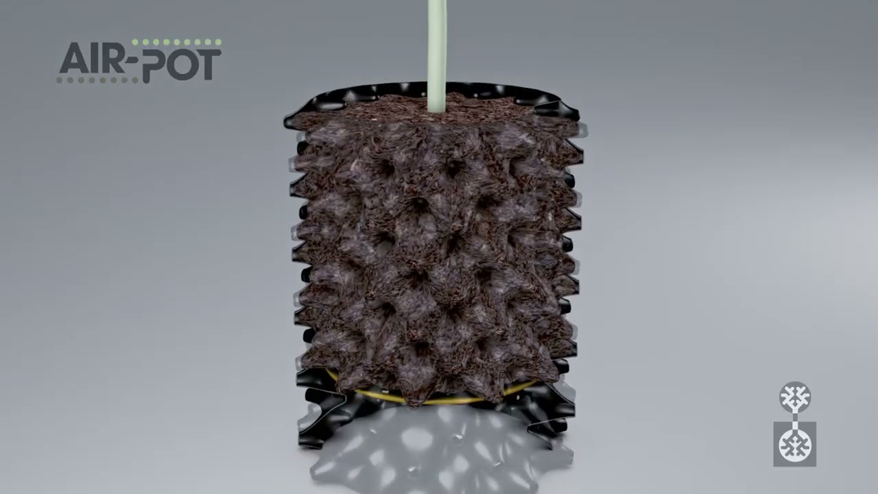 Introduction to Air-Pot containers.