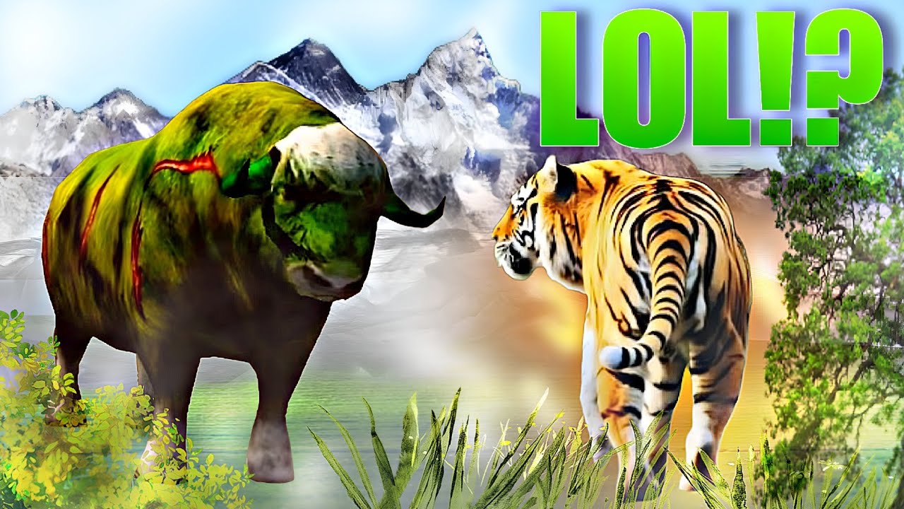 Tiger Level Up to 44! Muskox & Giant Tortoise Champion | The Tiger Online