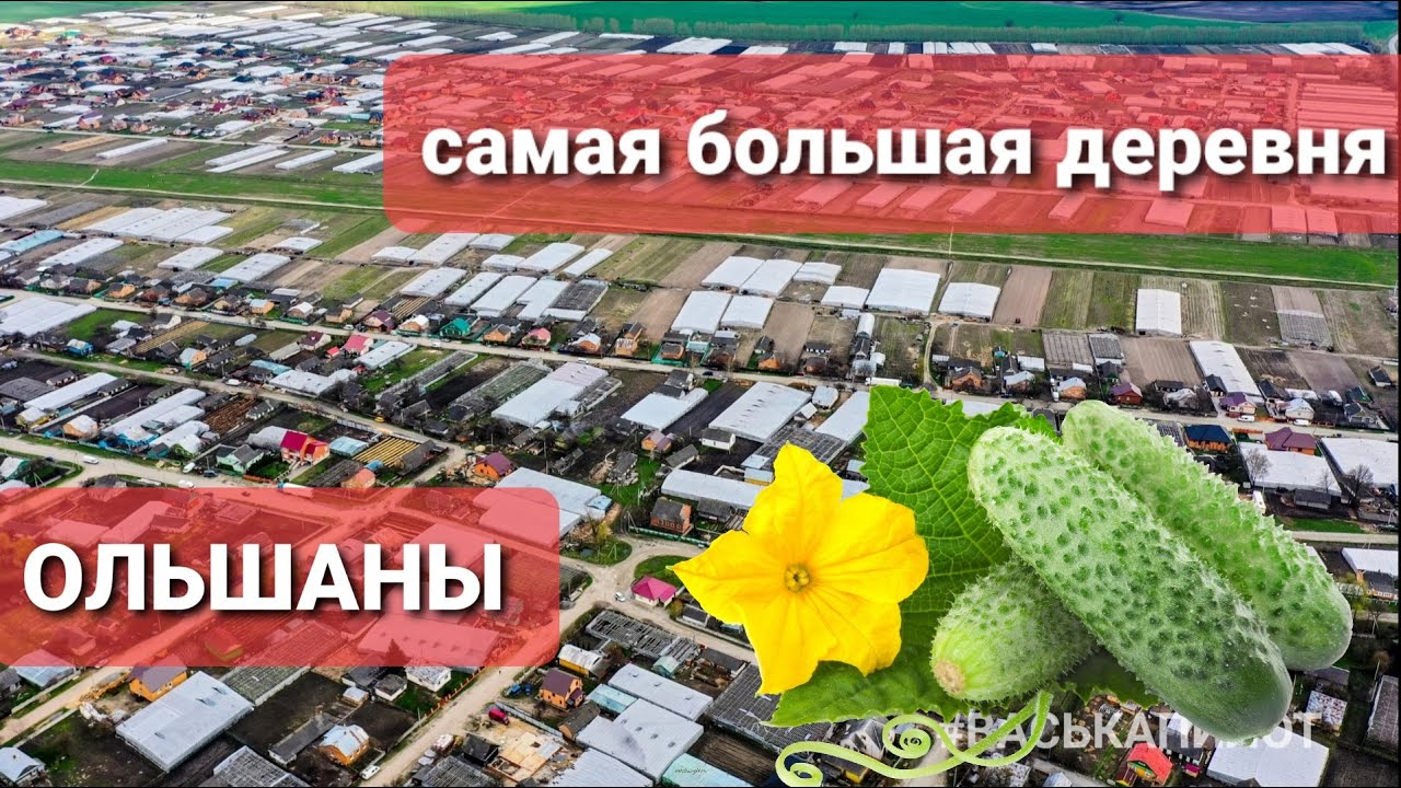 Самая богатая и трудолюбивая 