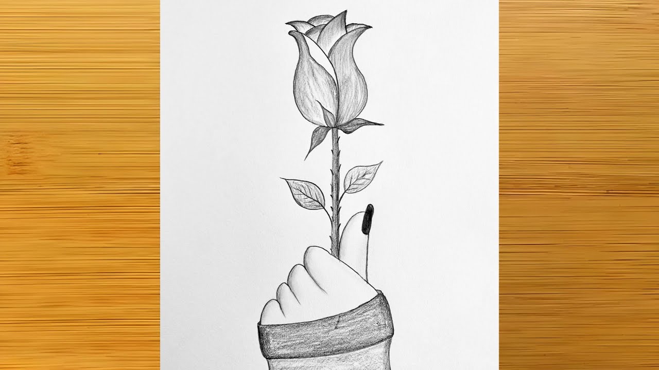 Rose day drawing - pencil sketch || Valentine's Day drawing easy || How to draw Rose