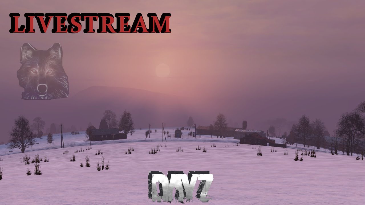 Immersed in The Channel ⛵ | DayZ Survival (1440p)