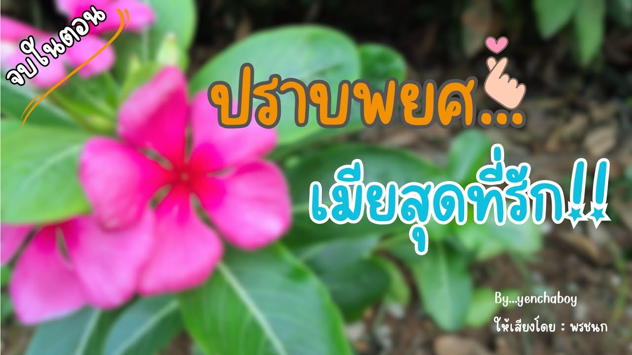 เรื่องสั้น...ปราบพยศเมียสุดที่รัก (จบ)