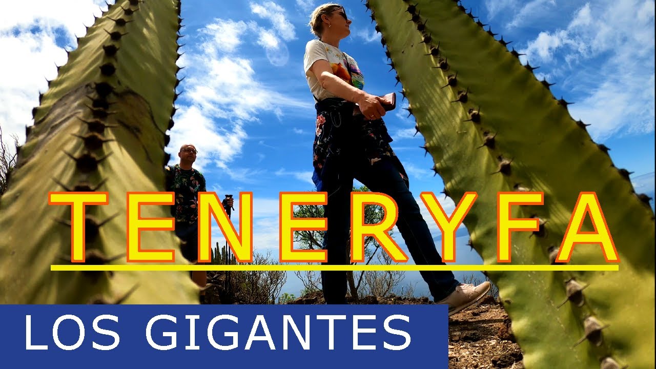 Teneryfa. Szlak nad klifami Los Gigantes. Walking Trail Tenerife 4K