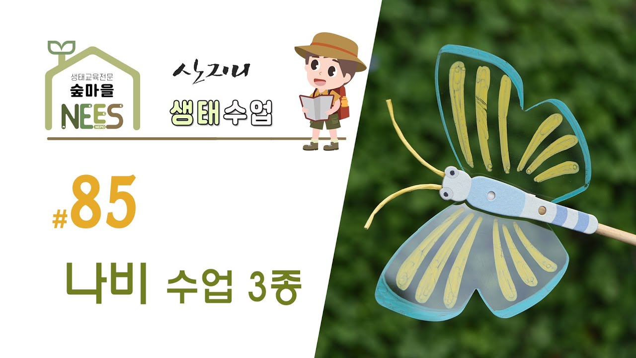 [산지니 생태수업] #85 나비 수업 3종