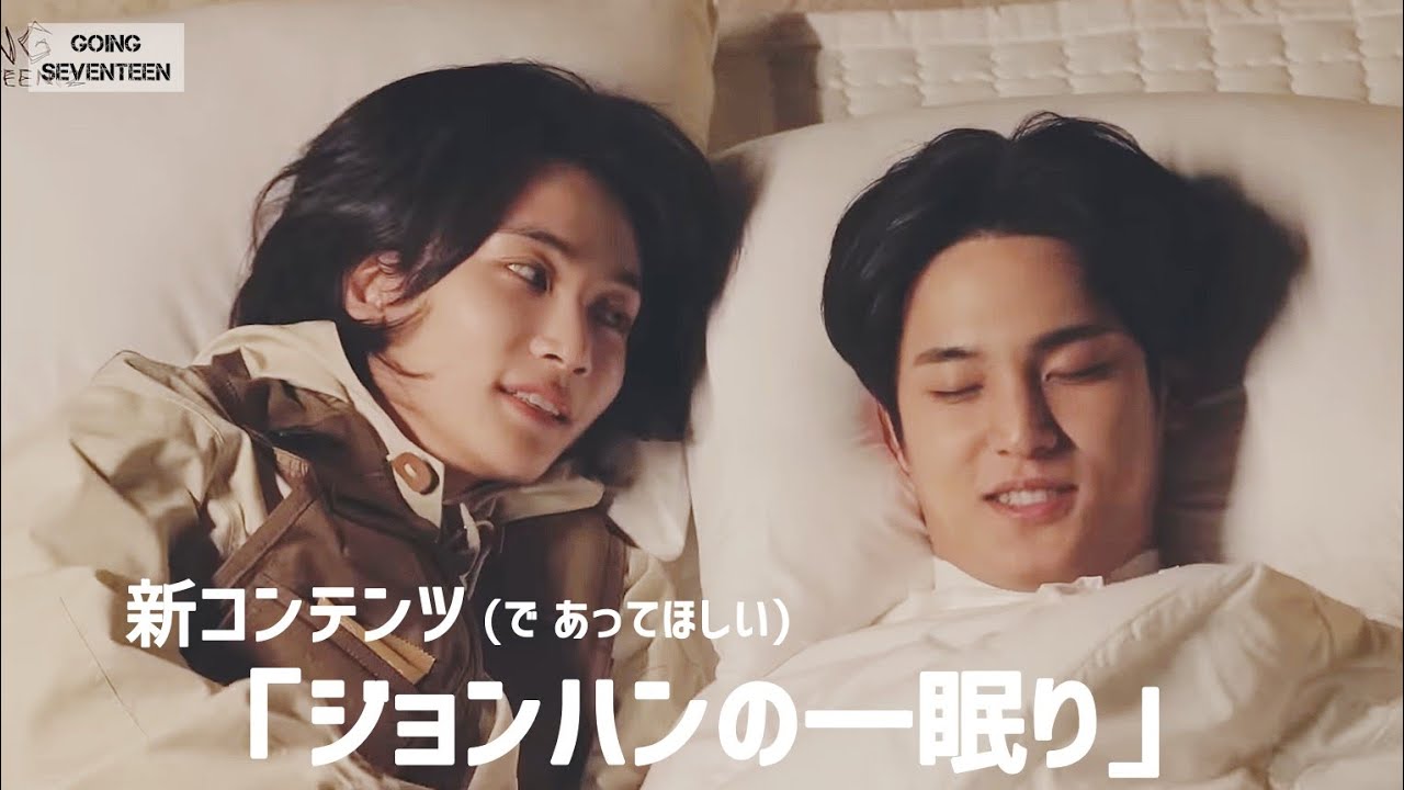 SEVENTEEN｜ハニママが寝かしつけるってよ