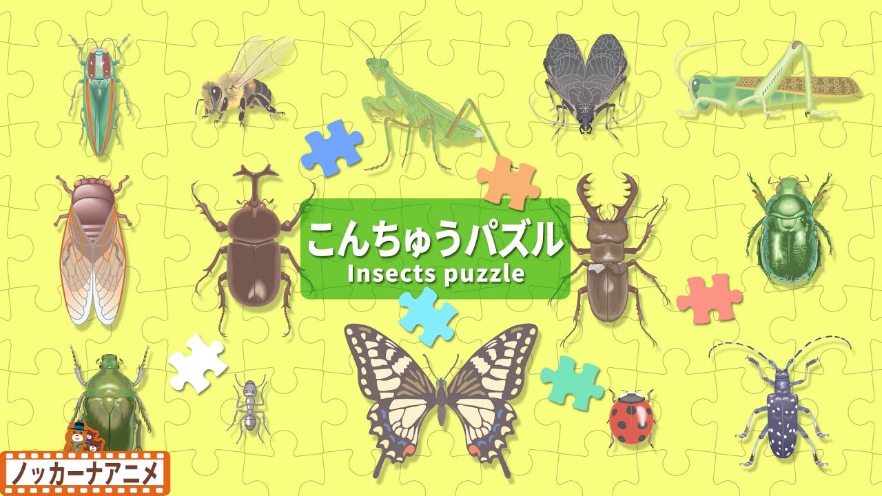 昆虫パズルで遊ぼう♪こんちゅうの名前もおぼえられるよ！【赤ちゃん・子供向け知育アニメ】Insects puzzle for kids
