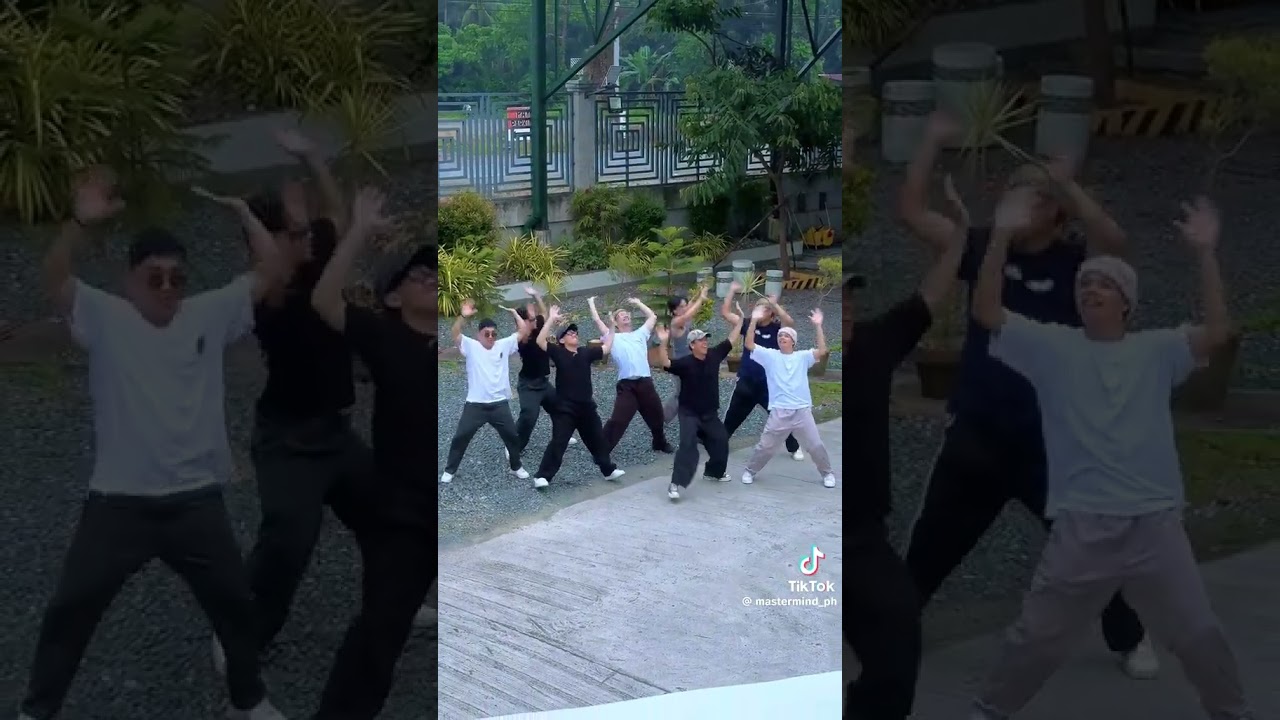 Forest Frank dance CELEBRATION