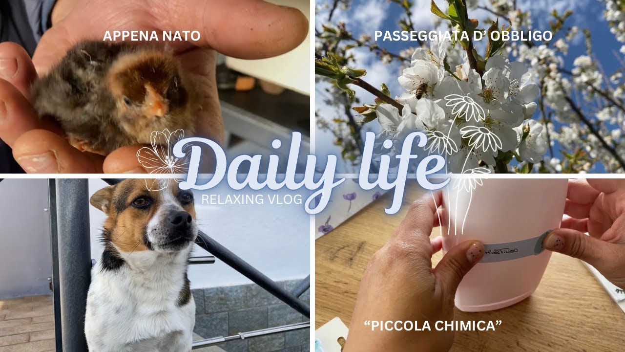 Tra FACCENDE DOMESTICHE 🫧APPENA NATI 🐣e PASSEGGIATE TRA LA NATURA 🌳🌸 relaxing vlog