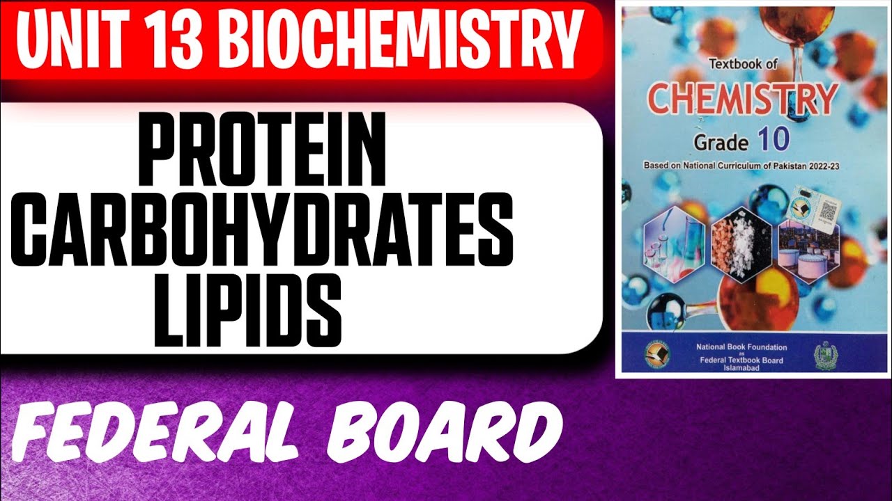 Proteins, Carbohydrates & Lipids | Unit 13 Biochemistry | Class 10 Chemistry | Federal Board