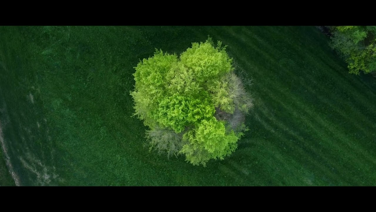 DJI Mini SE Cinematic and Relaxing
