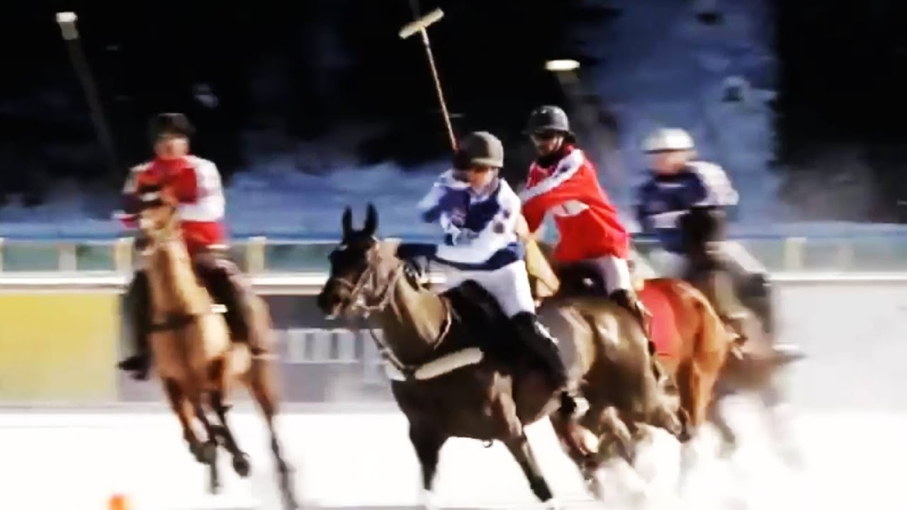 Polo - Der königliche Pferdesport