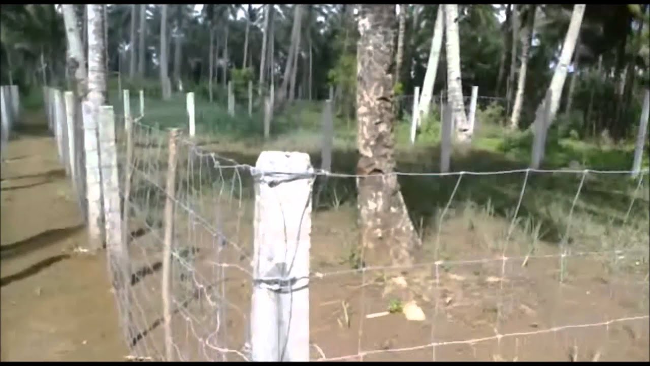 GOAT DEMO FARM, SOMIORANG, MATUNGAO, LDN