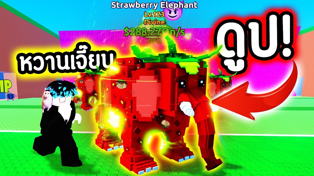 ดูป ช้าง OG ไม่จำกัด 🤯🔥 โกงมาก !!!! 🤤💸 Roblox Escape tsunami for brainrot