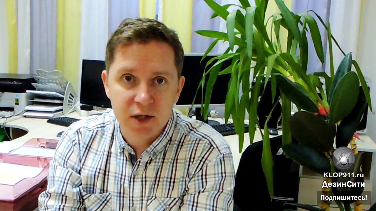Что делать, если клопы остались после обработки