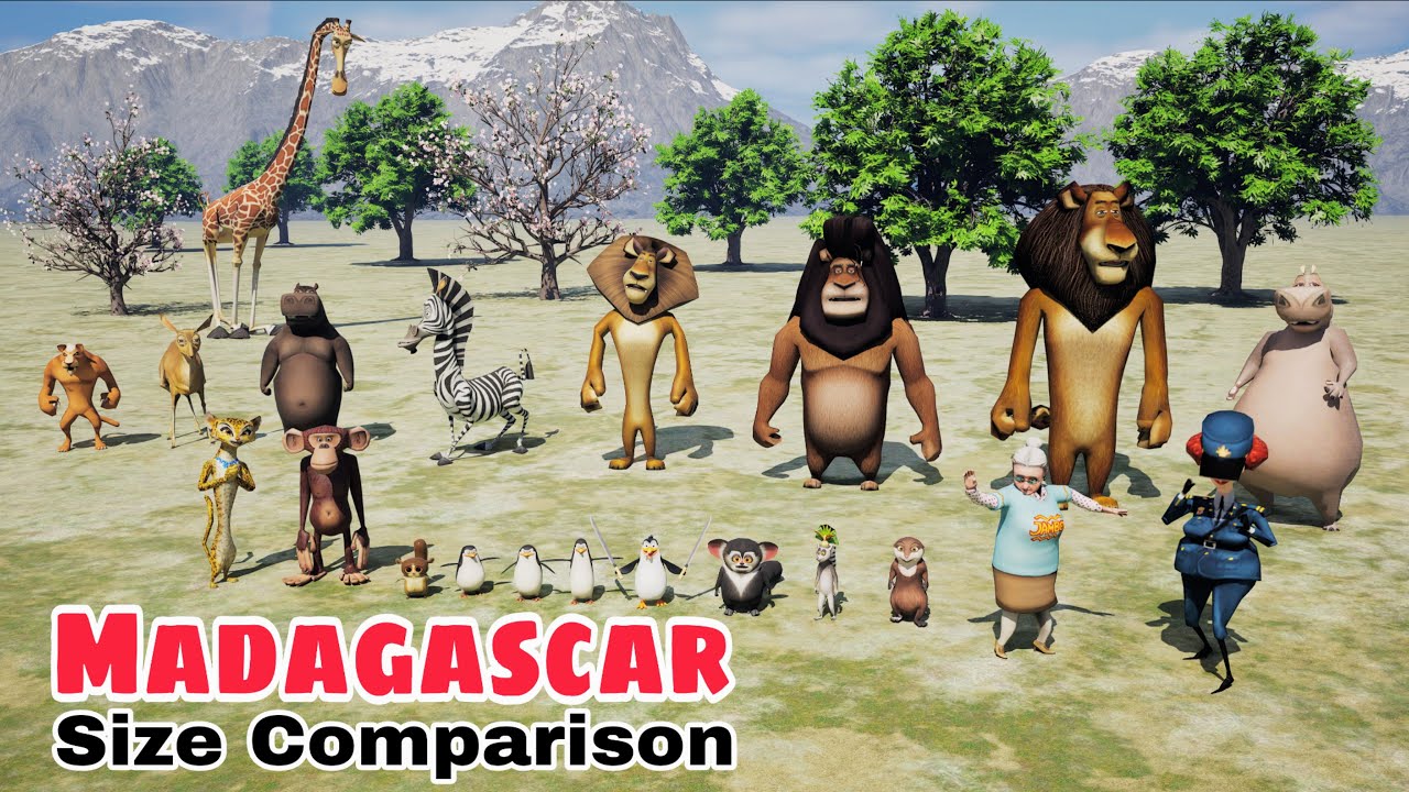 Madagascar Characters in Real Size 3D | Alex Is HUGE