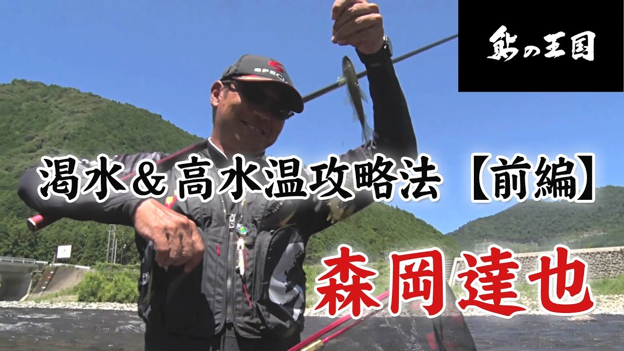 《ダイワ鮎の王国》渇水＆高水温攻略法【前編】～三重県 大内山川 森岡達也