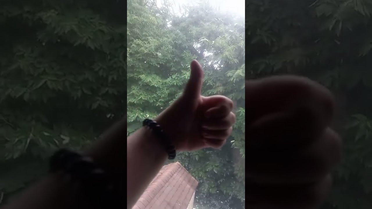 the start of our NJ Thunderstorm! Don't worry I found & saved poor scared Freddie &hearts;️ ⛈⚡🪣 ☔