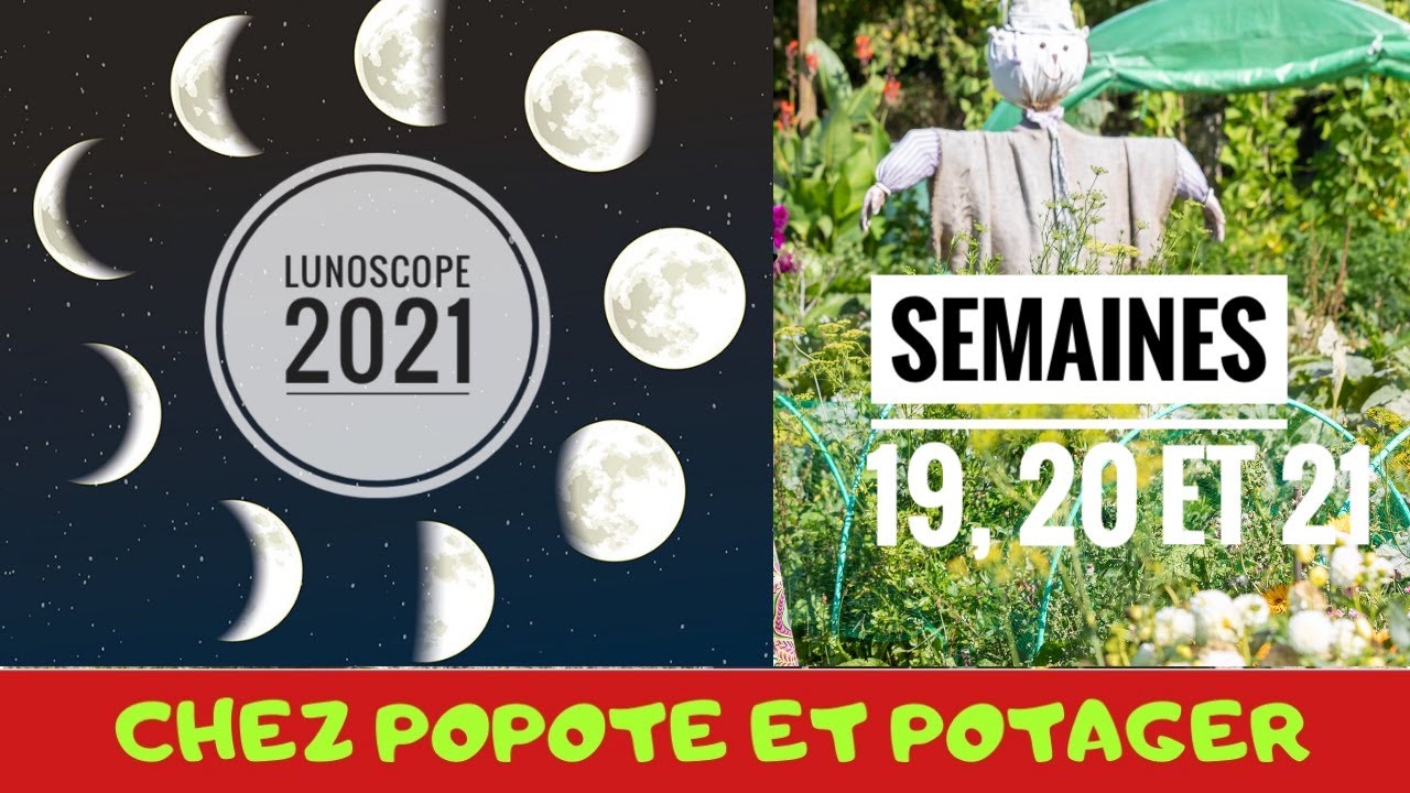 FOOD SELF-SUFFERING in the VEGETABLE GARDEN #LUNOSCOPE S. 19, 20 & 21
