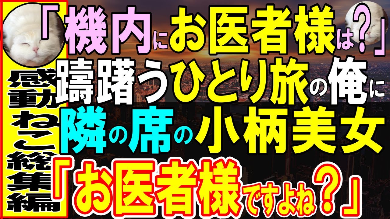 【感動する話】機内CA「急病人です。お医者様はいらっしゃいますか？」俺が躊躇っていると、俺の顔を見て隣の席の女性「お医者さんですよね？」「え？」【いい話・泣ける話・朗読】
