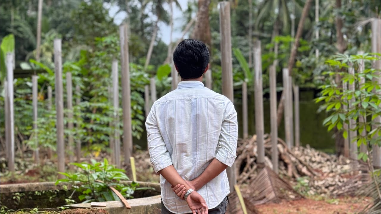 വെറും 950 രൂപയ്ക്ക് കുരുമുളക് കൃഷി