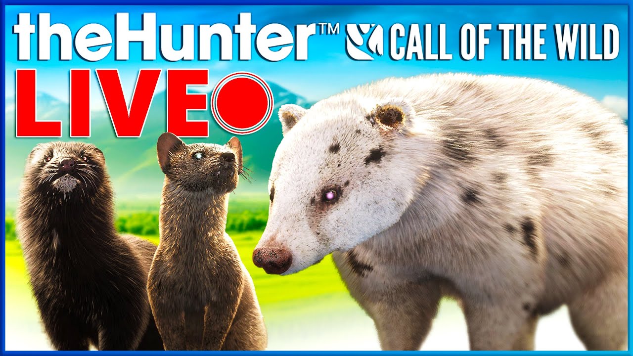 We are Back! An EPIC Competition Begins! - theHunter Call of the Wild