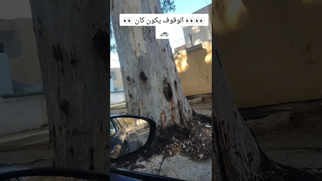 تعليم السياقة للمبتدئين/رخصة سياقة/ AutoEcole