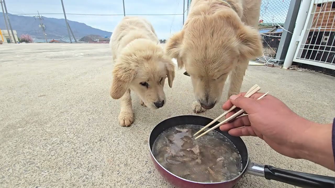 사건이 벌어지고 고강도 훈련이 진행된후...