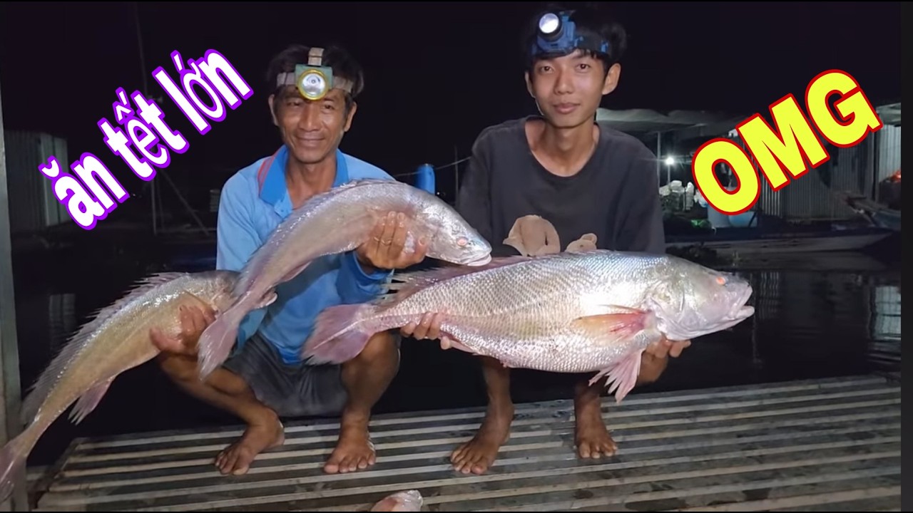 Anh Lộc Năm Nay Ăn Tết Lớn Rồi , Giăng Lưới Trúng Mánh Cá Sủ Khổng Lồ # SĂN BẮT ĐỒNG THÁP #