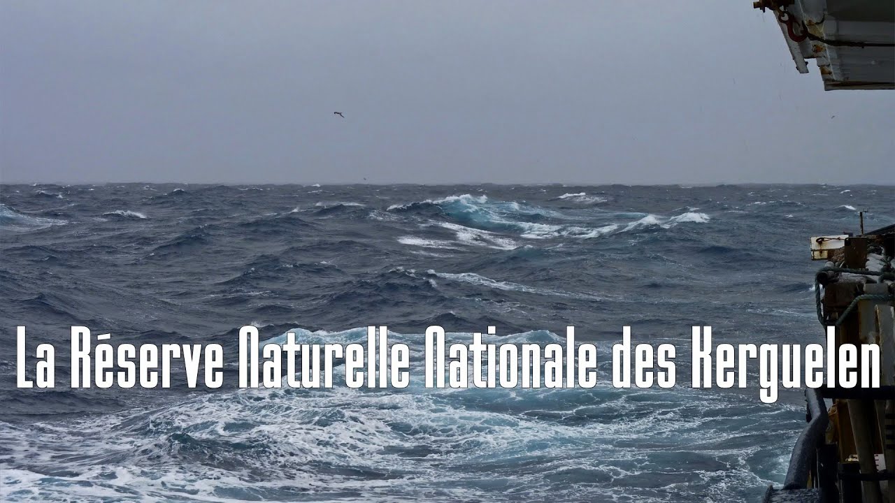 La Réserve Naturelle des TAAF