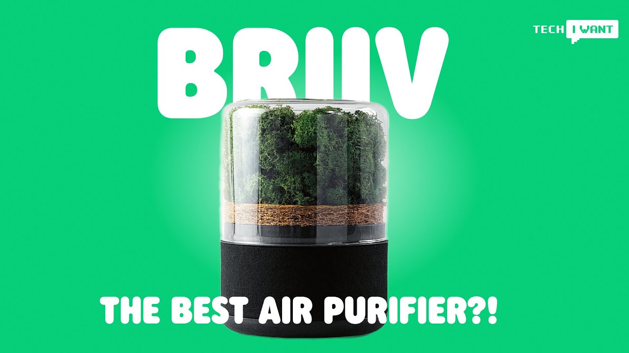 Briiv - A Sustainable Air Purifier That Uses Natural Materials | Tech I Want Review