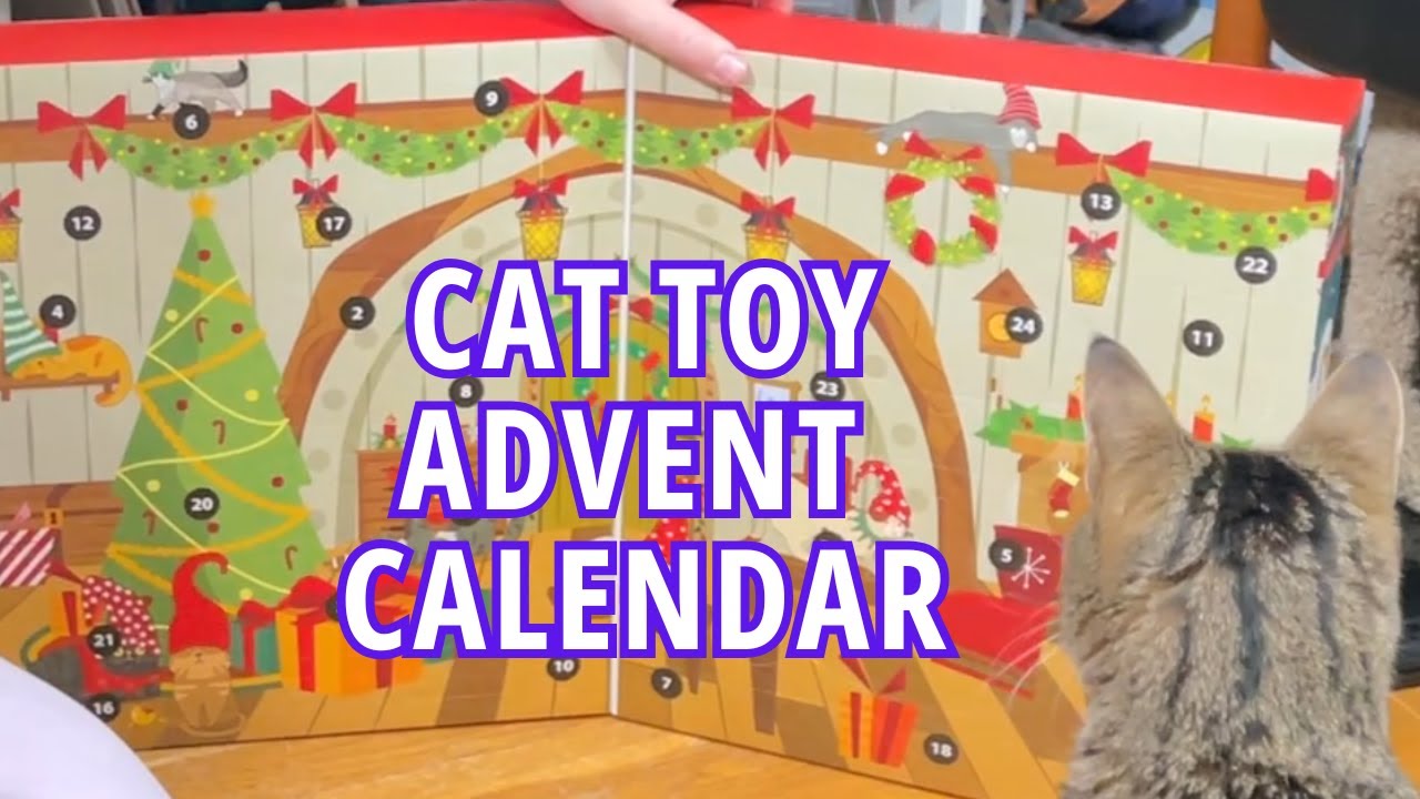 Costco Catvent Cat Toy Calendar for Christmas 2025