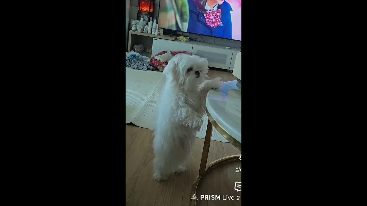 두부.콩이 음악방