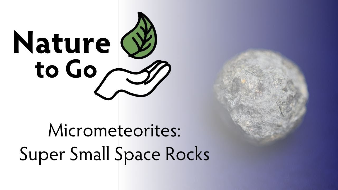 Nature to Go | Micrometeorites – How to Find these Super Small Space Rocks