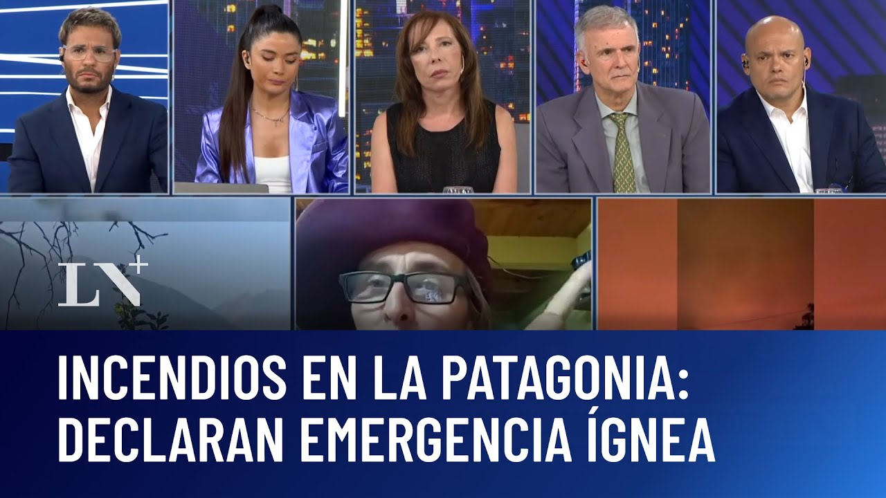 Se declara la emergencia ígnea en 4 provincias; en Chubut, Río Negro, Neuquén y La Pampa