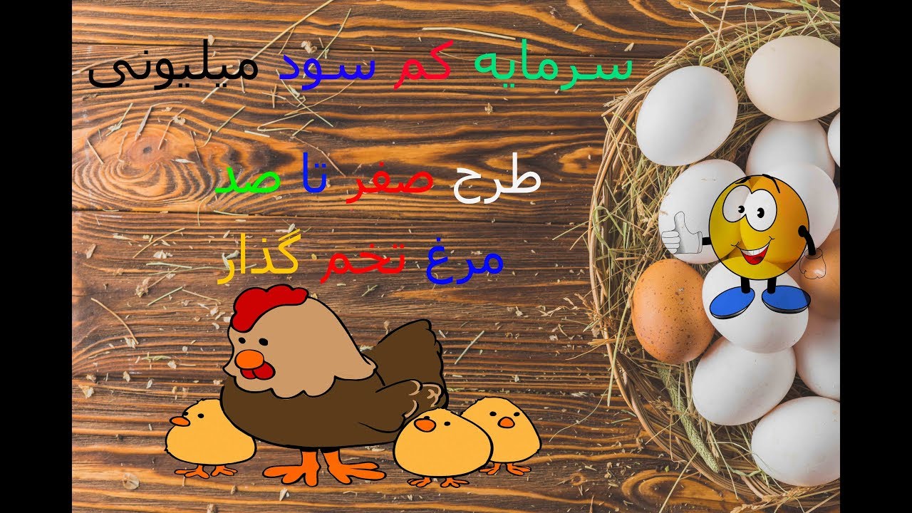 طرح پرورش مرغ بومی, سرمایه کم سود میلیونی