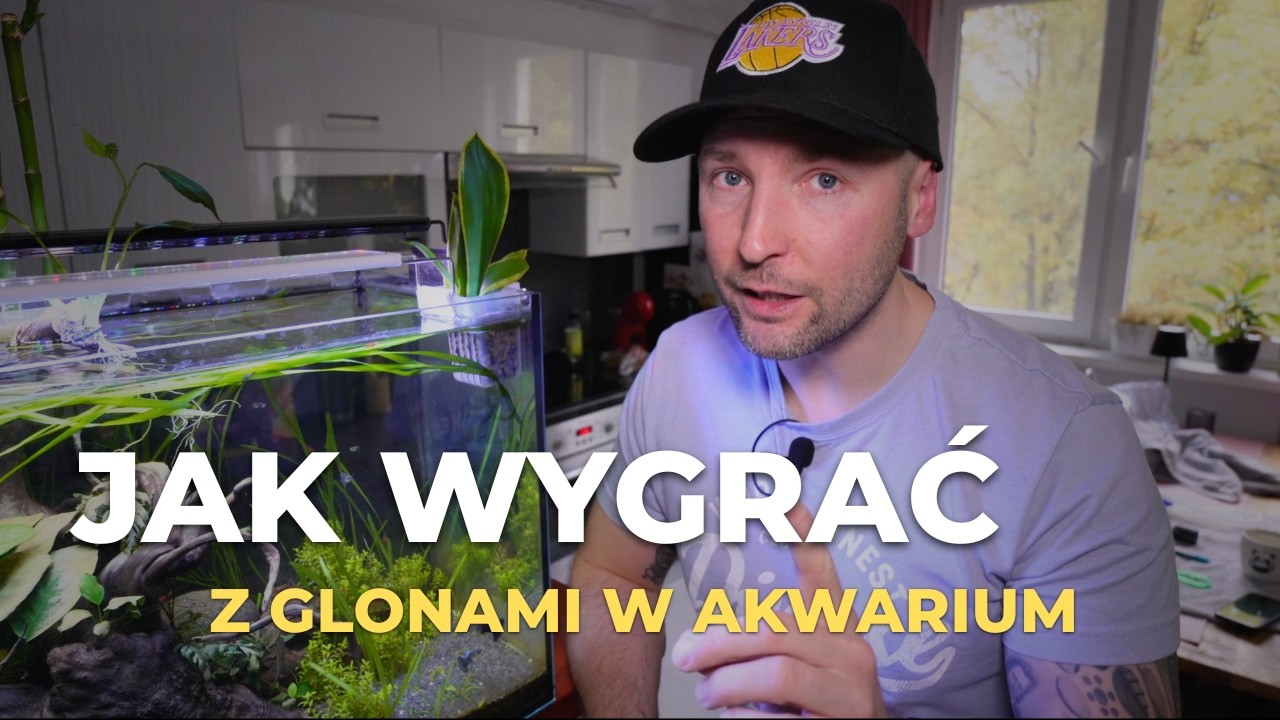 JAK POZBYĆ SIĘ GLONÓW w akwarium - Moja walka z okrzemkami - Co robić - Poradnik Krok Po Kroku