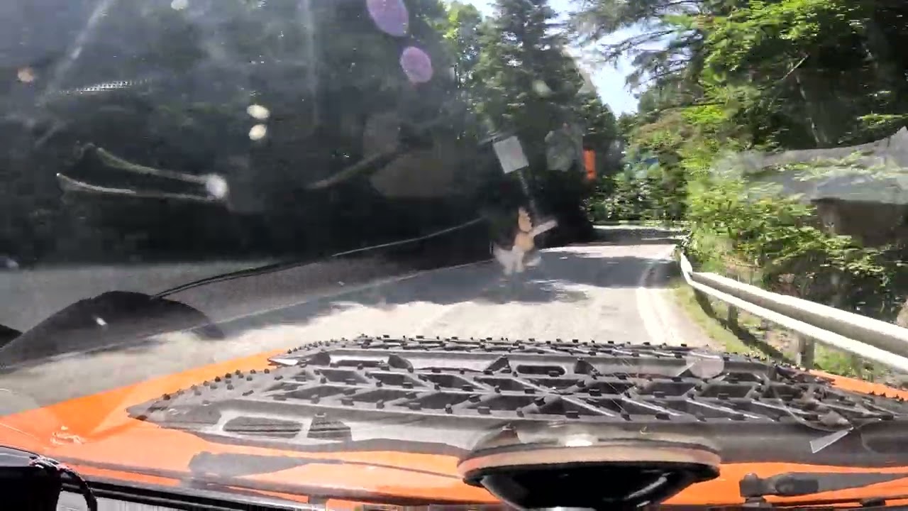 Lada Niva ile Bolu Kampı