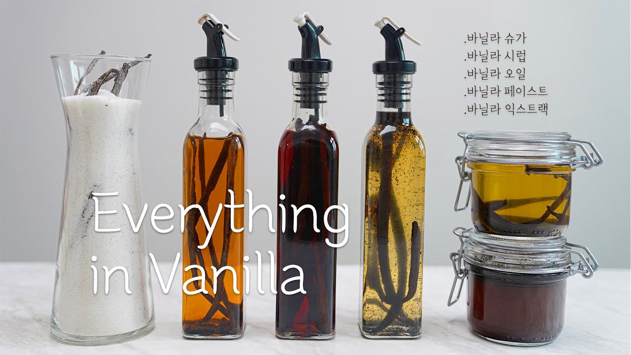 바닐라빈의 모든 것 | Everything in Vanilla Baking Vlog | HOYA TV