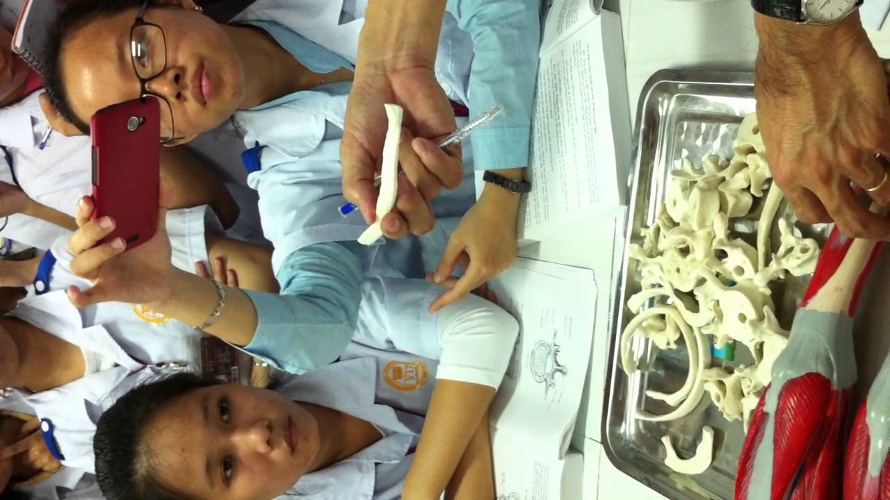 Giải phẫu học: Cơ Xương Thân Mình (ĐH VTT)