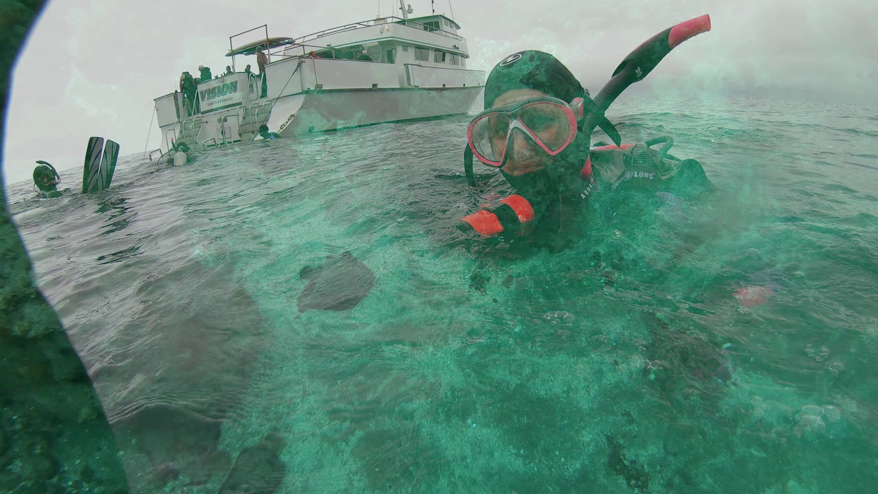 Santa Cruz and Anacapa Island Dive 2019