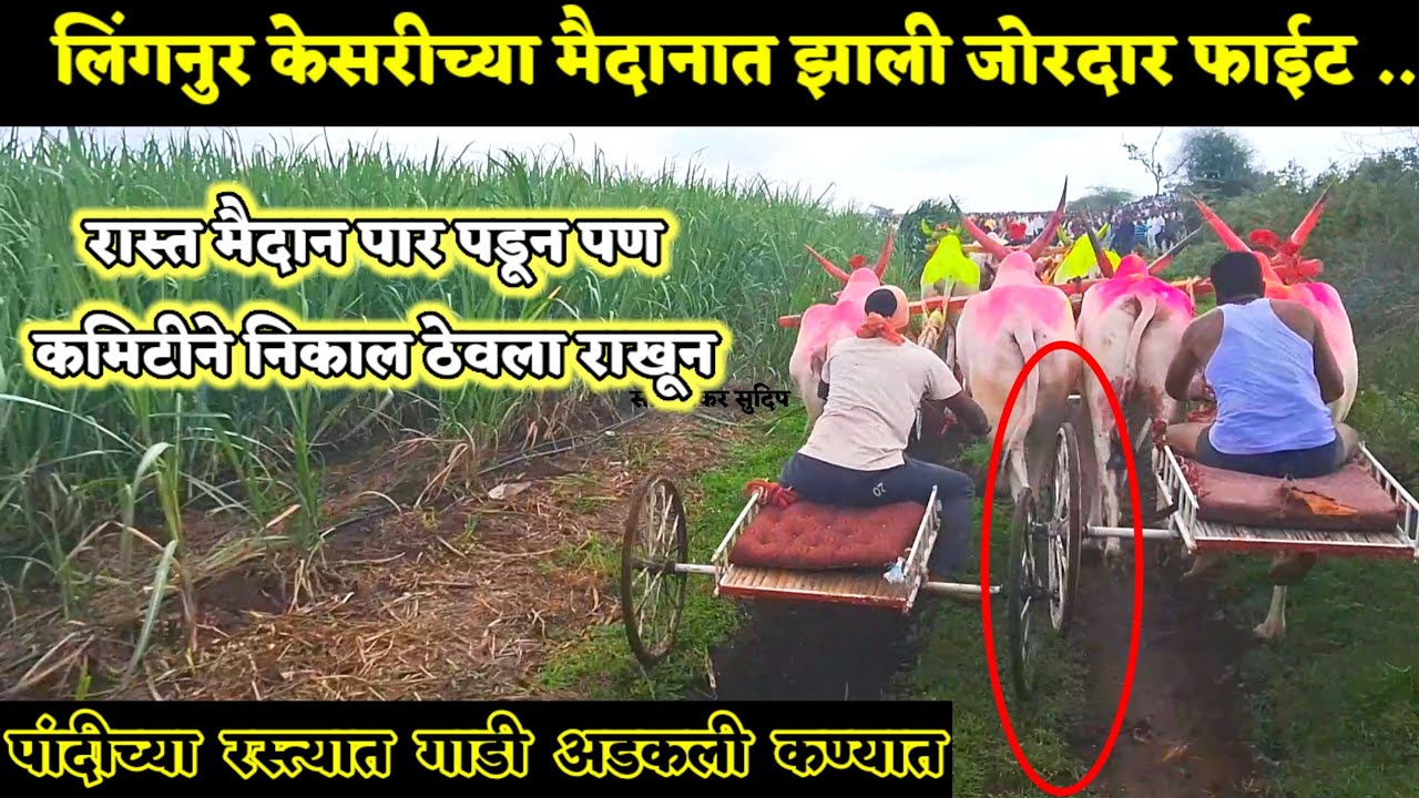 लिंगनुर केसरी १,००,००० ₹ | भव्य बैलगाडी मैदान | कमिटीने निकाल ठेवला राखून काय असेल कारण 😲 ?
