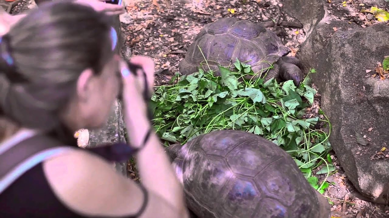 Hotel Palm Beach Nosy Be part1  Official Vidéo By DS Focus 2015