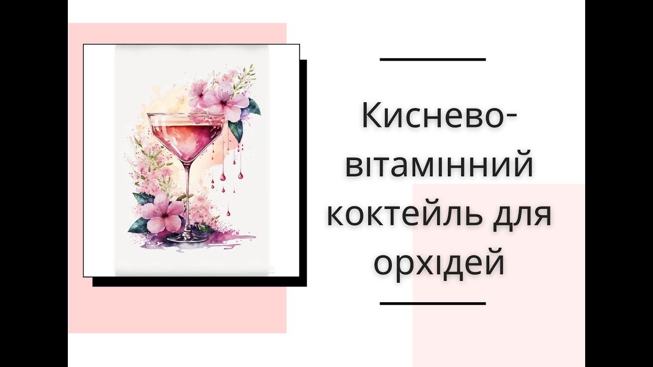 Використовуйте цей НАДПОТУЖНИЙ ЗАСІБ ДЛЯ стимуляції орхідей