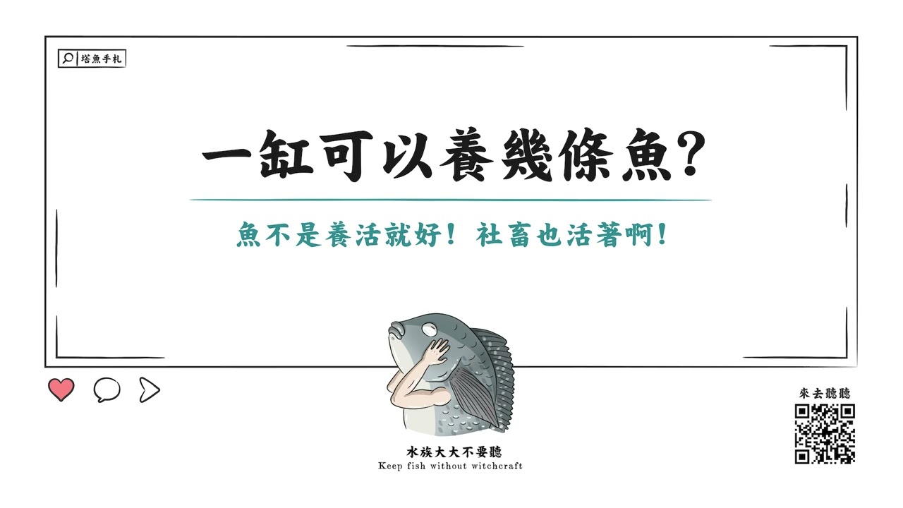 [水族大大不要聽] Ep2 一缸可以養幾條魚?
