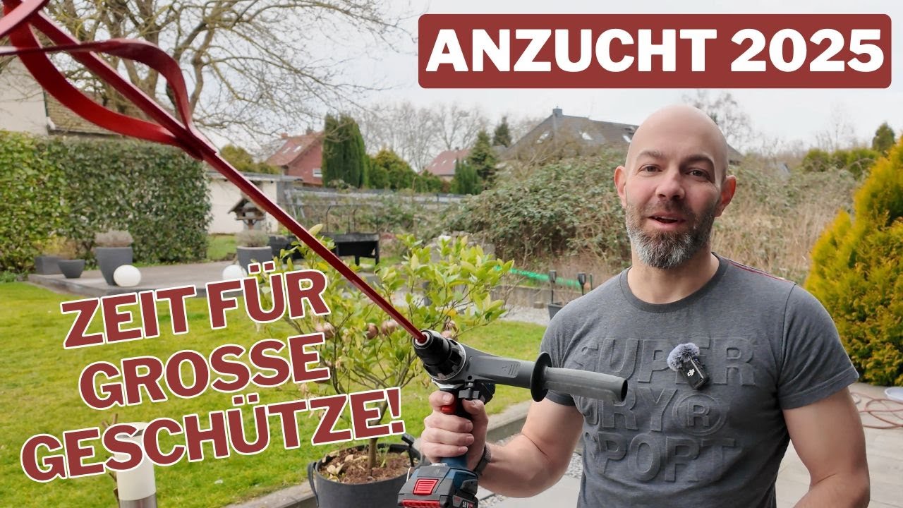 Vom Chili Samen zum 6 Liter Topf - Stand der Anzucht 2025 Teil 1