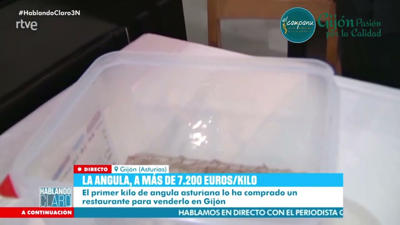 RTVE: La angula marca un nuevo récord en Ribadesella: 7.280 euros el kilo
