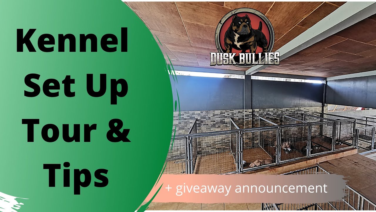 Dusk Bullies Kennel Set Up Tour and Tips!!!