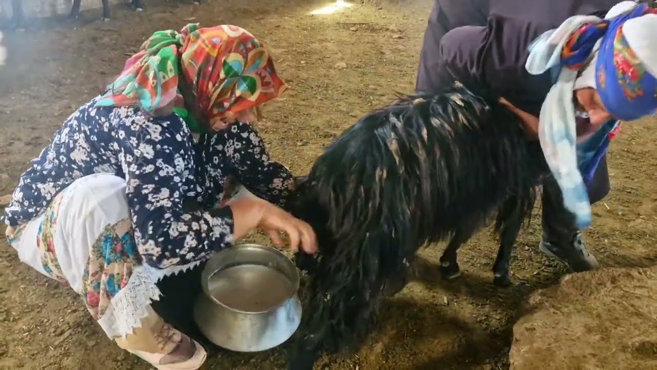 Rural life in Iran: Daily life of a rural woman and donkey riding by a rural woman in rural life