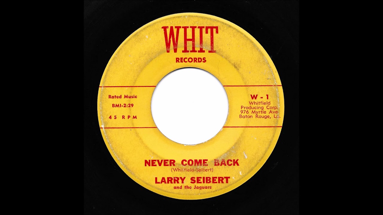 Larry Seibert And The Jaguars - Never Come Back (Whit)