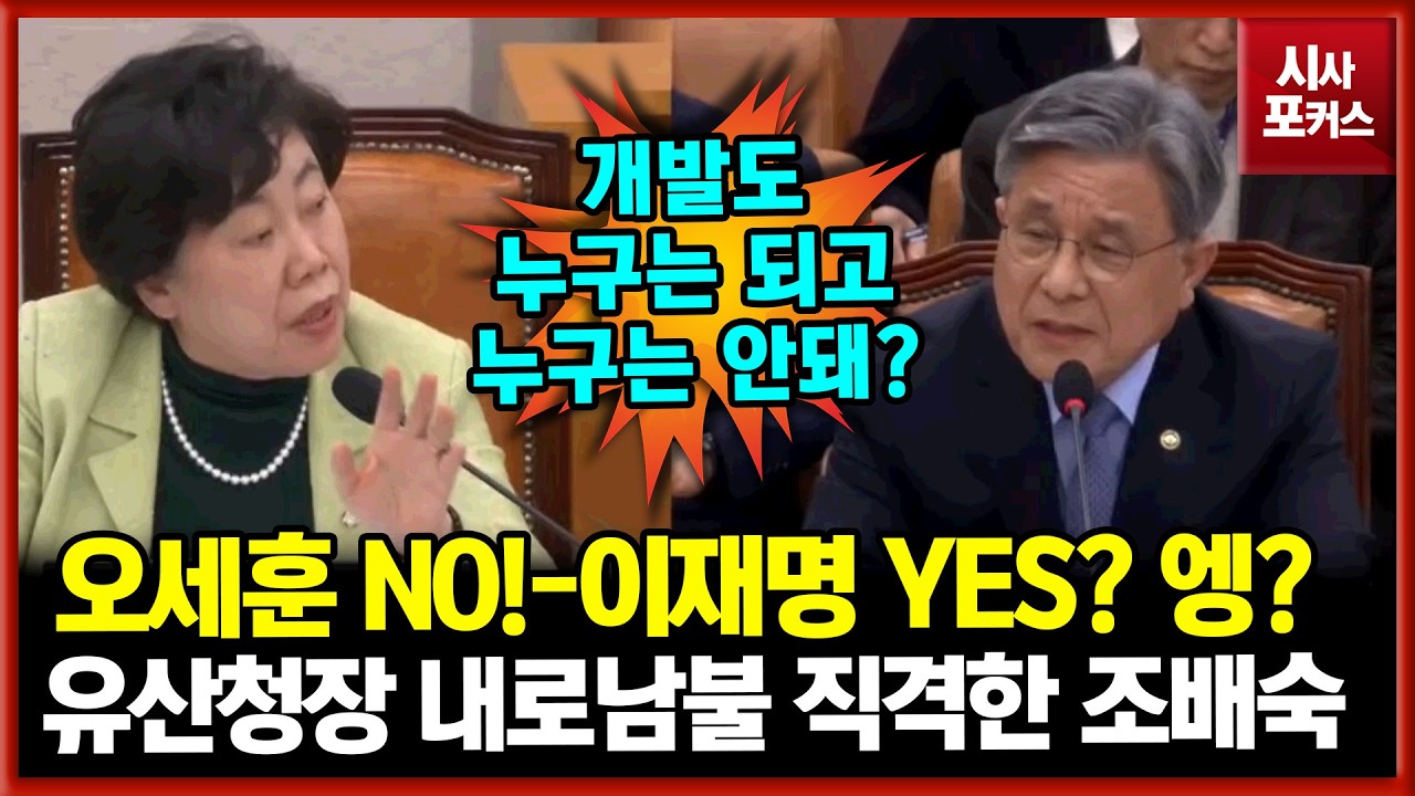 오세훈 개발은 막고 이재명 정부 개발은 OK?...국가유산청장 내로남불 직격한 국민의힘 조배숙